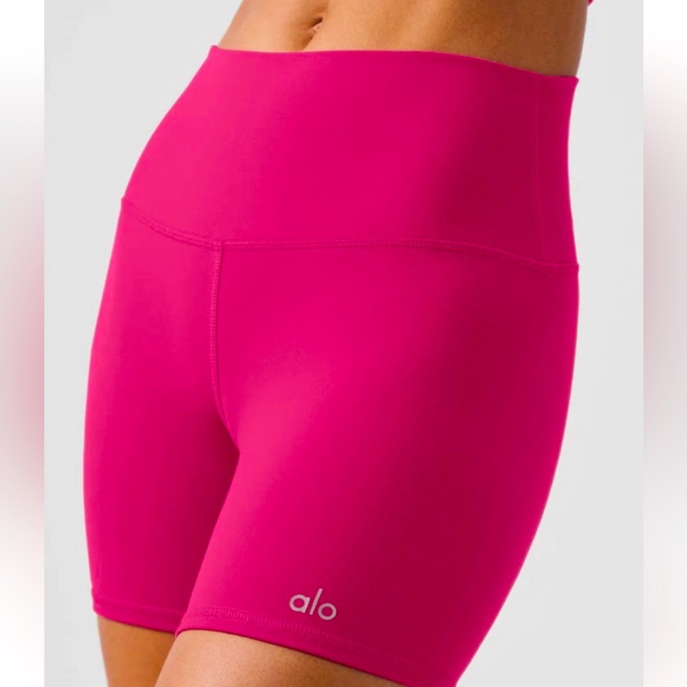 ALO Yoga Airbrush High Waist Biker Shorts